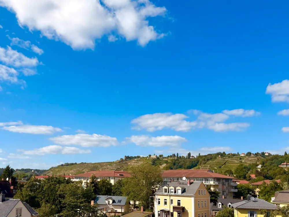 1-Zimmer-Wohnung in Radebeul mit traumhaftem Weinbergblick