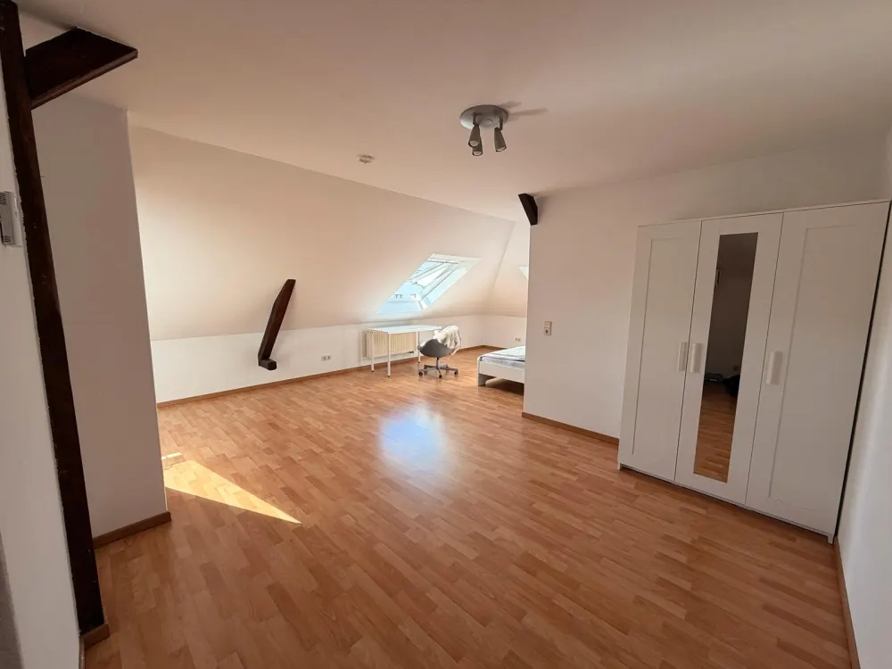 1-Zimmer-Wohnung in Radebeul mit traumhaftem Weinbergblick