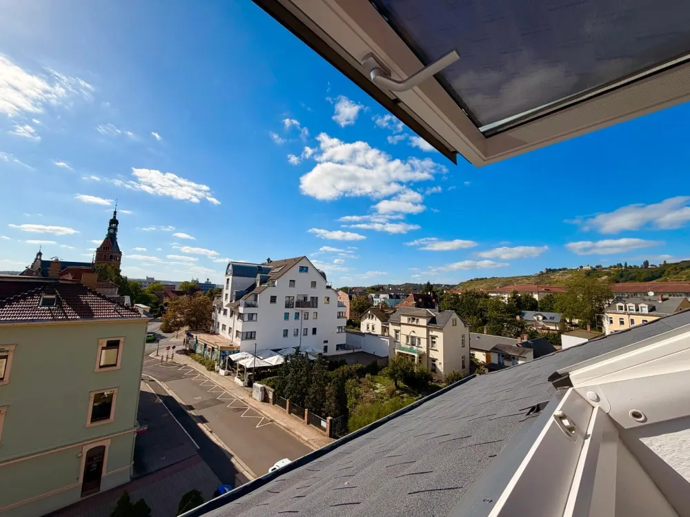 1-Zimmer-Wohnung in Radebeul mit traumhaftem Weinbergblick