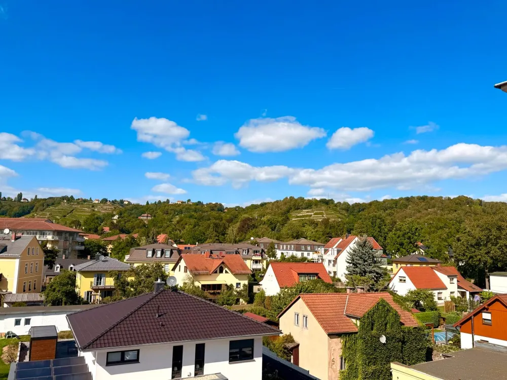 1-Zimmer-Wohnung in Radebeul mit traumhaftem Weinbergblick