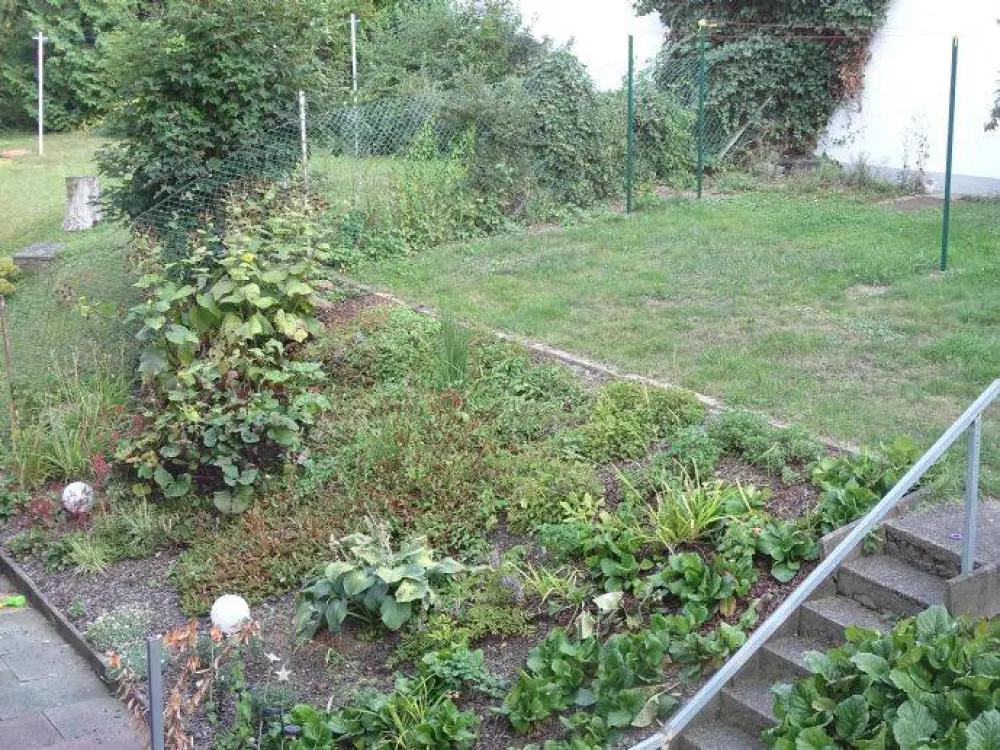 Vorderer Westen/Tannenwäldchen: Zentral gelegene Wohnung mit Südbalkon, mit Blick über Kassel