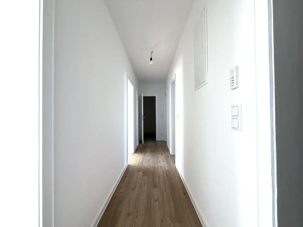 Freshly Renovated 3-Room Apartment!
