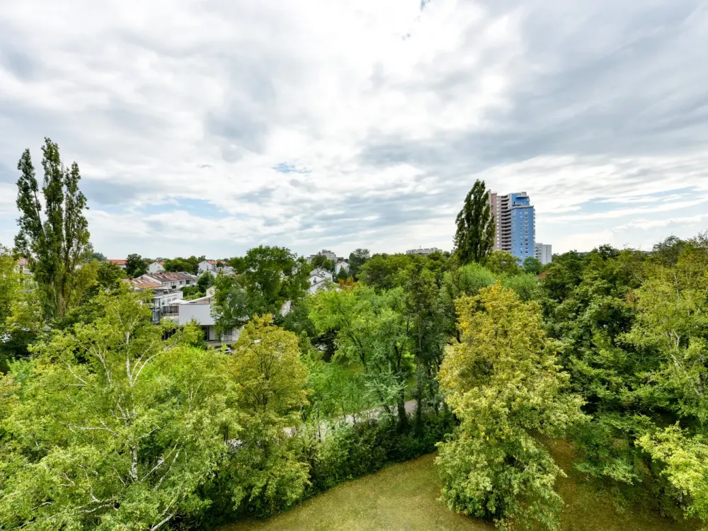 +++ gemütlich & gepflegt - sonniger Süd-Balkon - Laminat - inklusive EBK & TG-Stellplatz +++