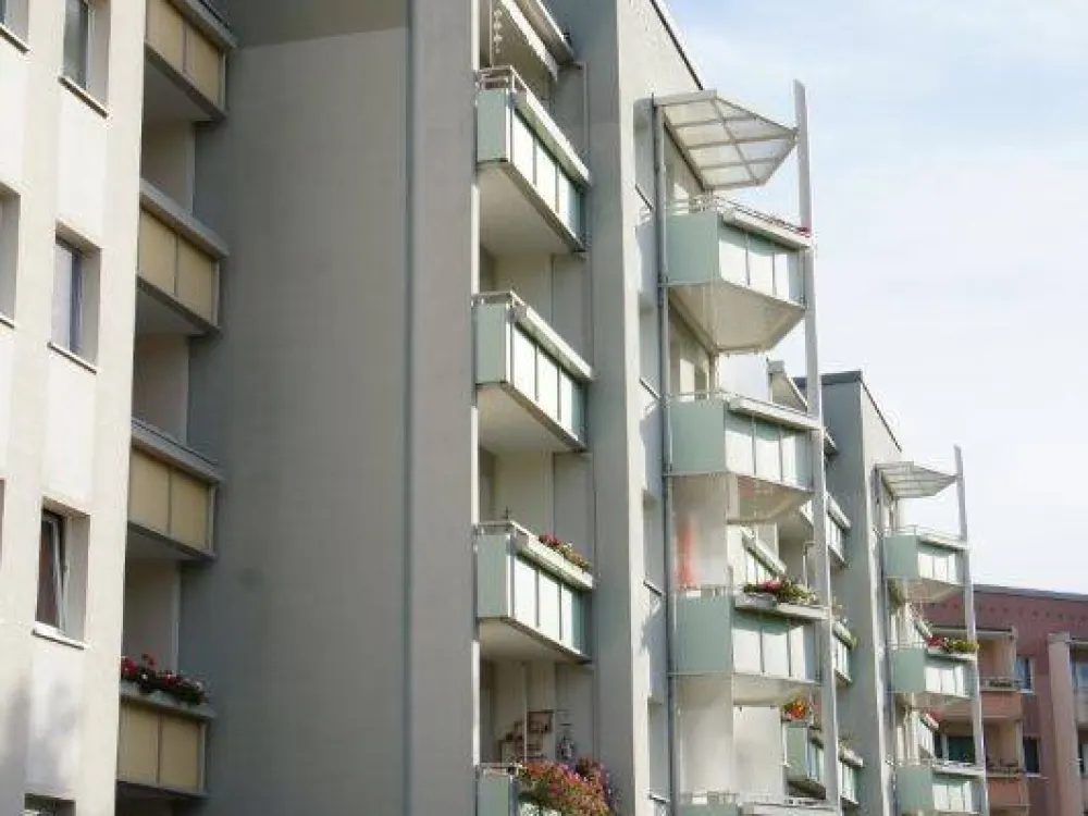 Hier könnte Ihr neues Zuhause sein !