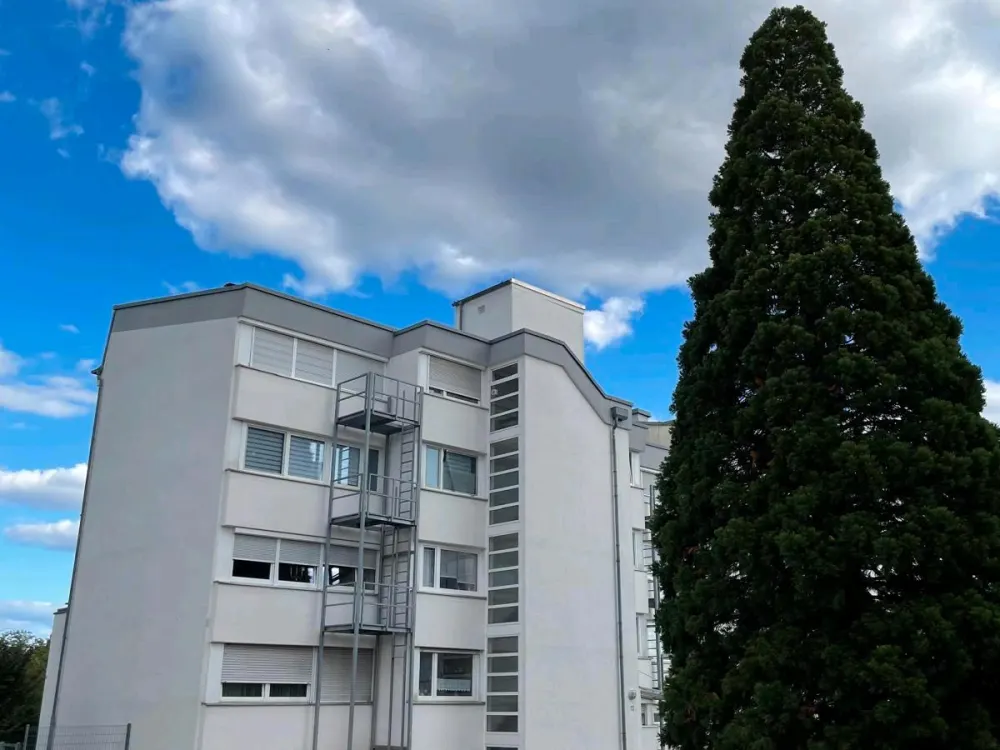 Wohnung zu vermieten