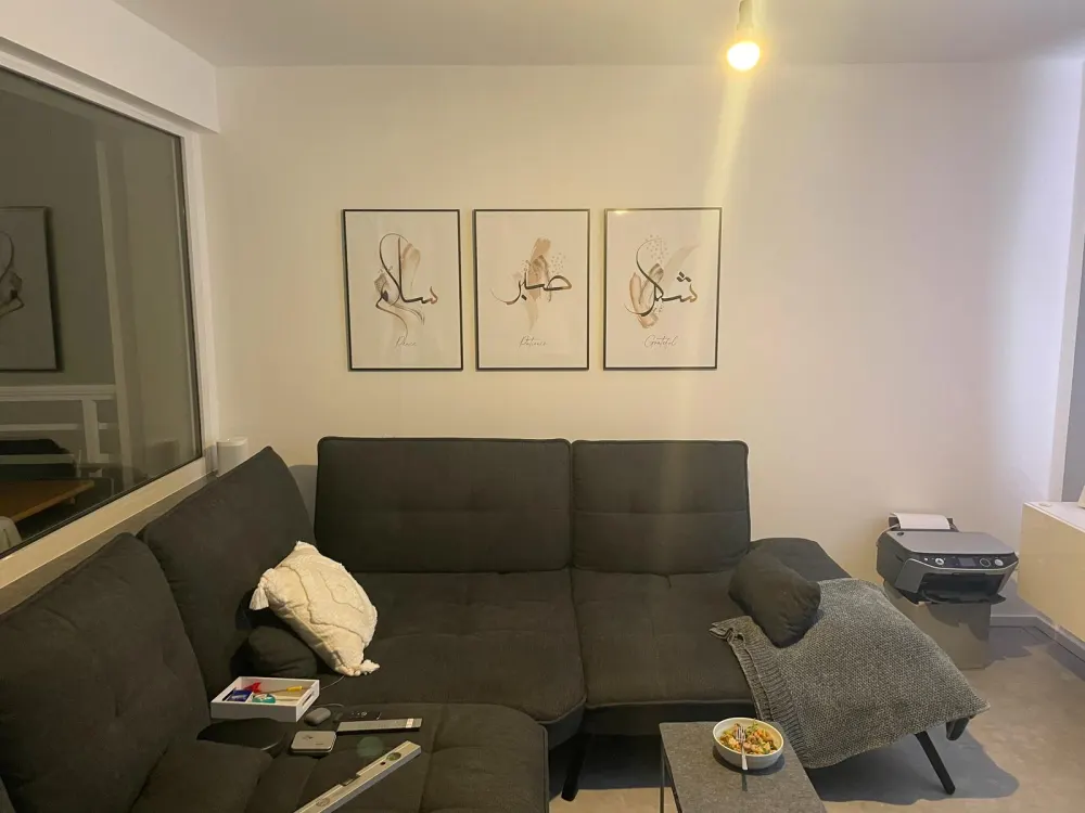 Stilvoll möblierte Wohnung mit großem Balkon - Münster-Angelmodde