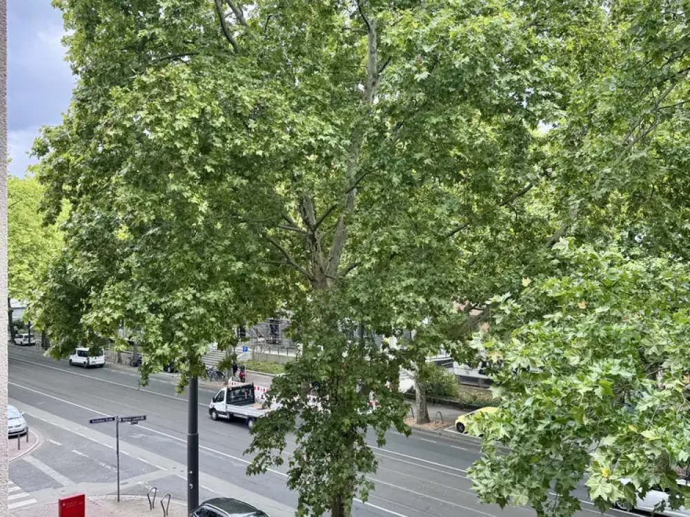 شقة مركزية وواسعة مكونة من 3 غرف مع شرفة | Mainzer Landstraße | مصعد متوفر