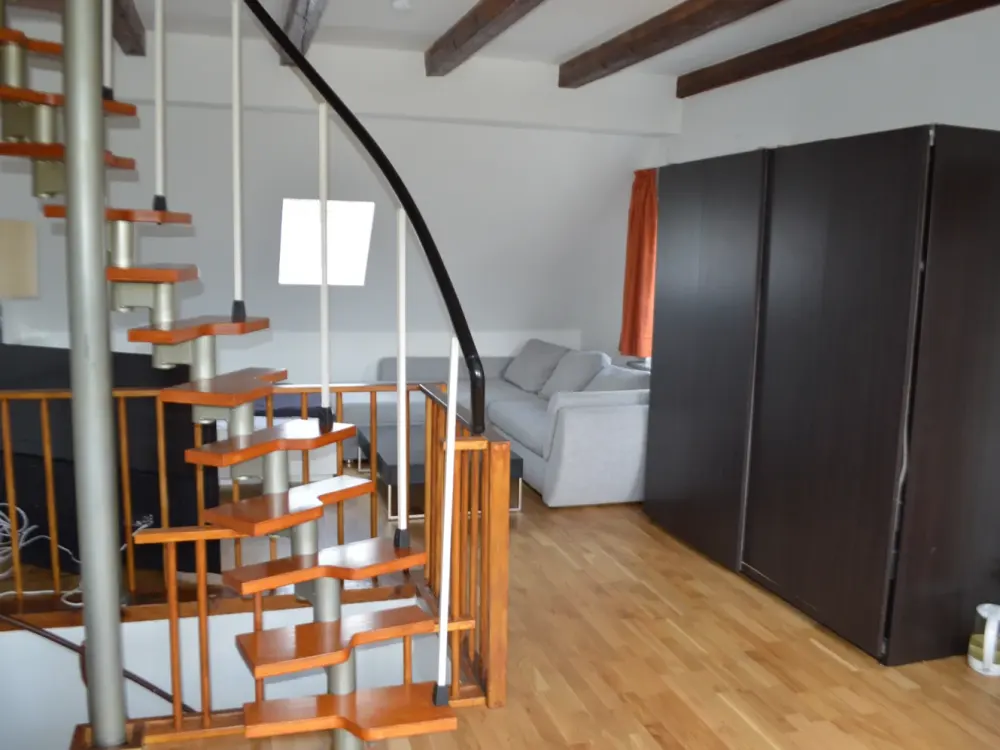 Möbliertes 1 Zimmer-Apartment im Dachgeschoß, mit großem Garten,