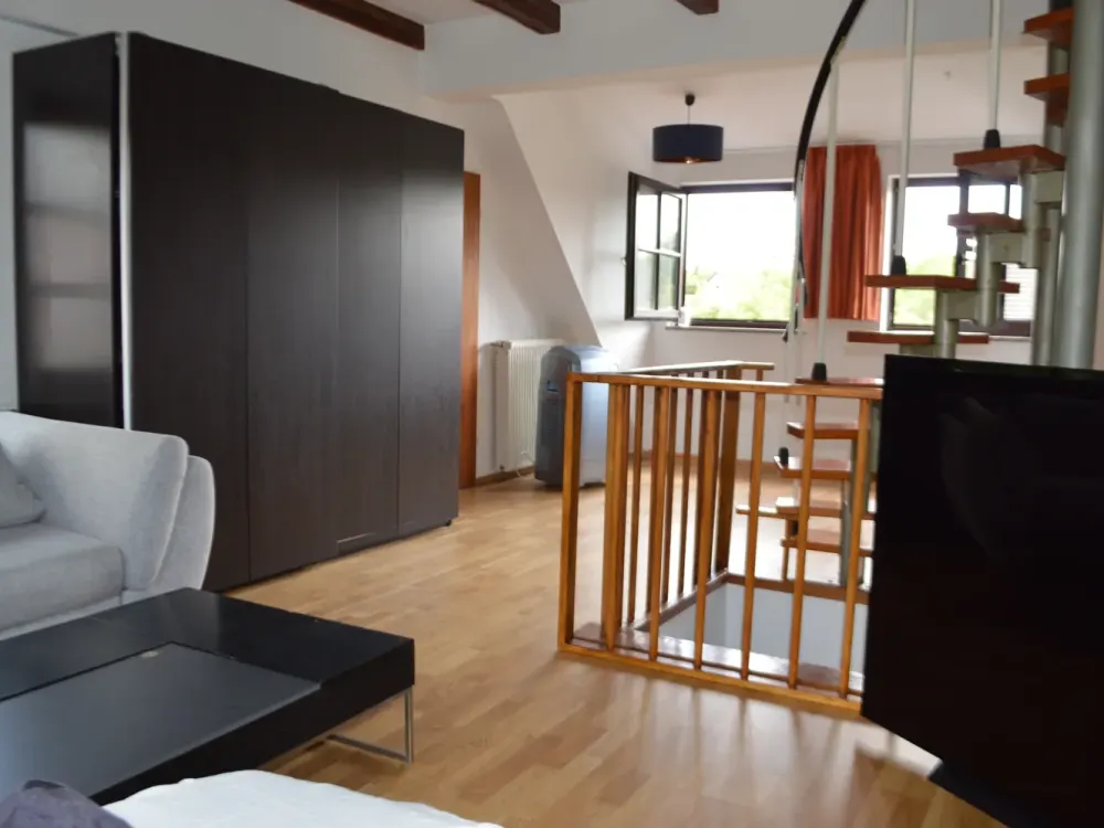Möbliertes 1 Zimmer-Apartment im Dachgeschoß, mit großem Garten,