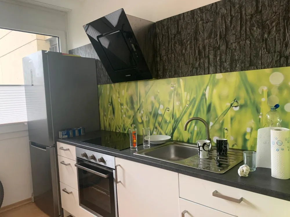 Modern Furnished Apartment Directly at the City Park