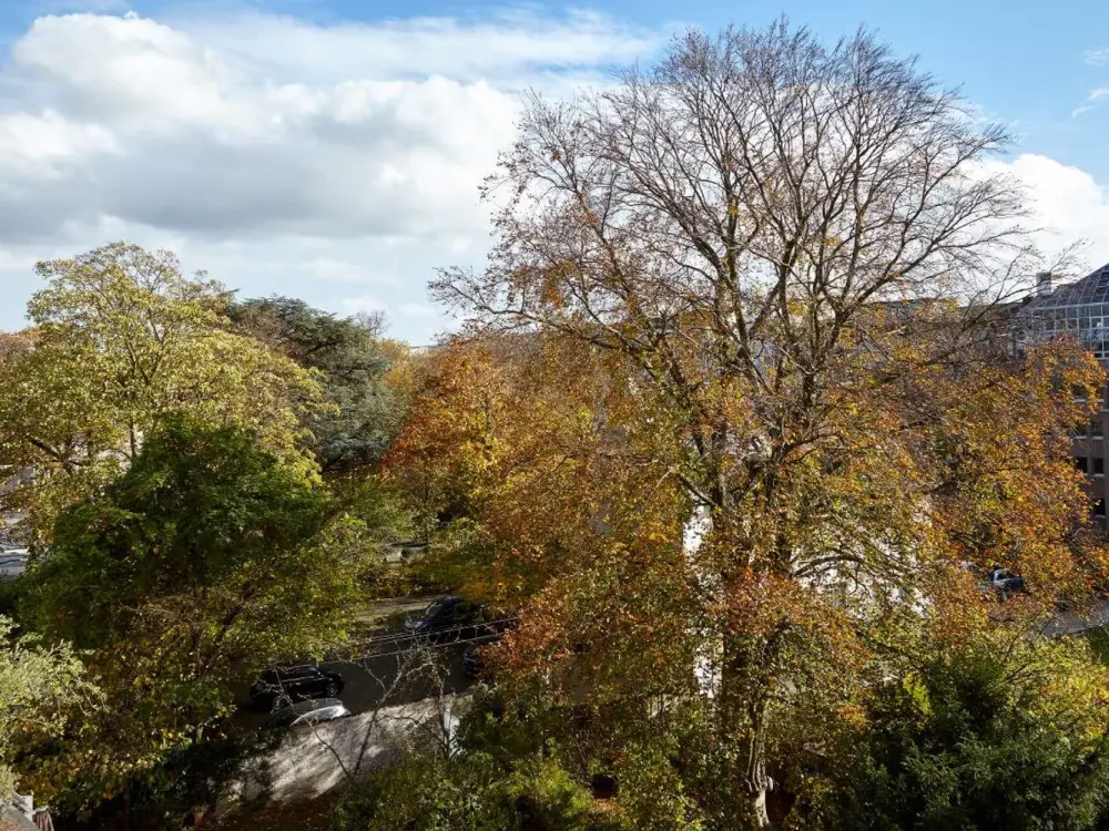 Gartenstraße/Hofgarten: Möbliertes Zuhause auf Zeit. Sonnige 2-Zi-DG im 4. OG (Lift). Parkett.