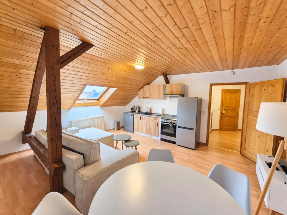 Bright 2-Room Attic Apartment in Gorkistr.
