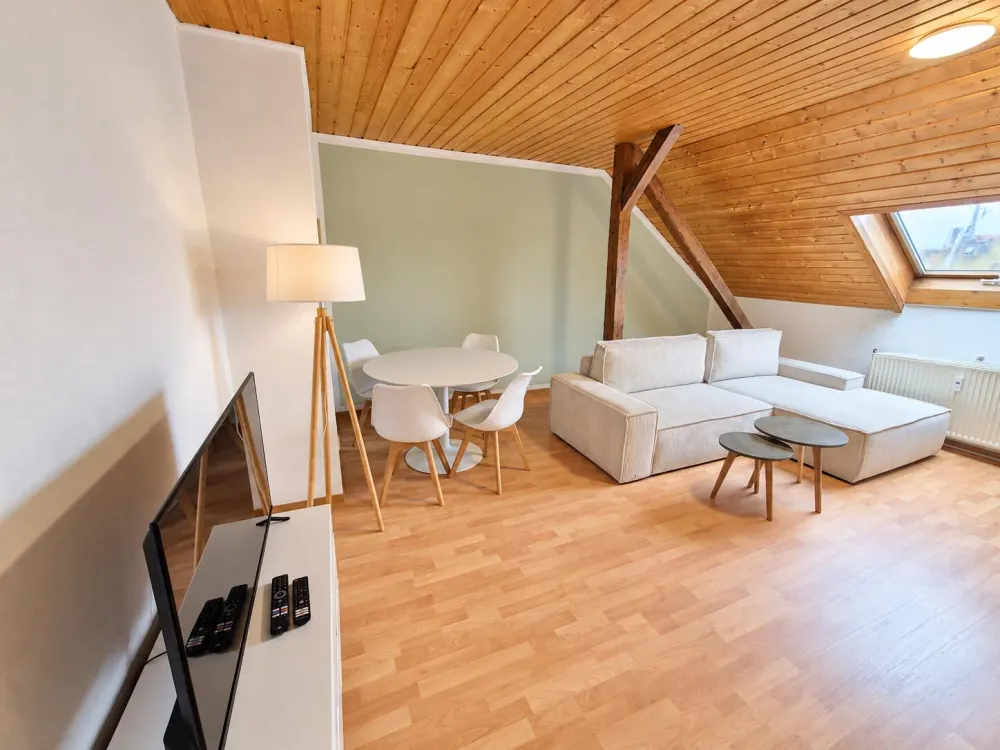 Bright 2-Room Attic Apartment in Gorkistr.