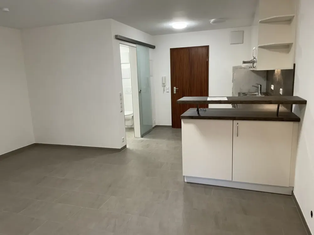 Luxuriöse Einzimmerwohnung mit Terrasse und Garten