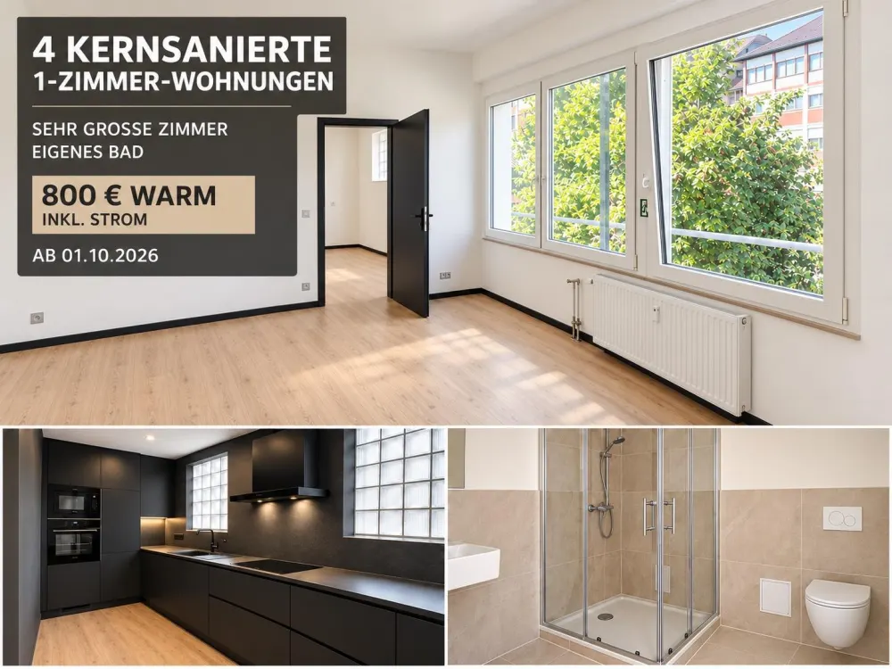 4 Fully Renovated 1-Room Apartments with Very Large Rooms from 01.10