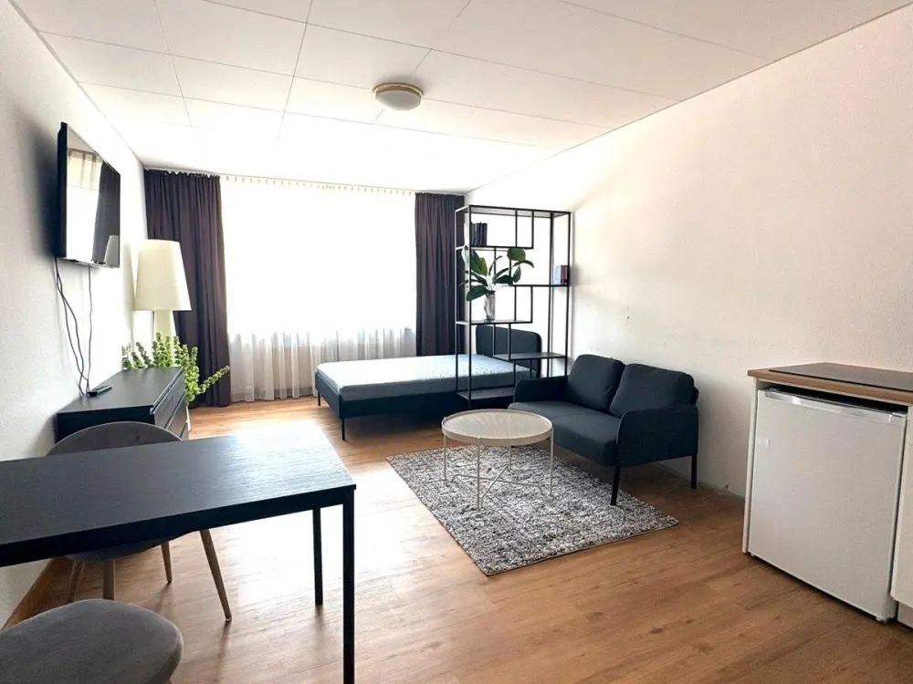 1.5 Room Apartment Fully Furnished and Equipped