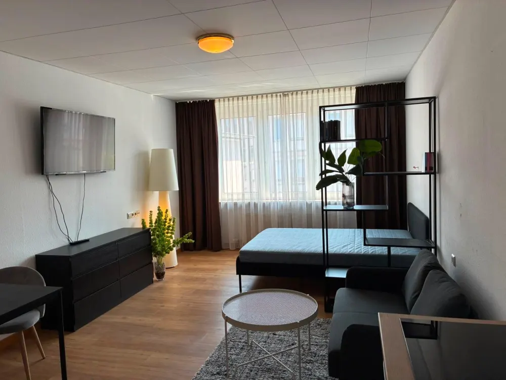 1.5 Room Apartment Fully Furnished and Equipped