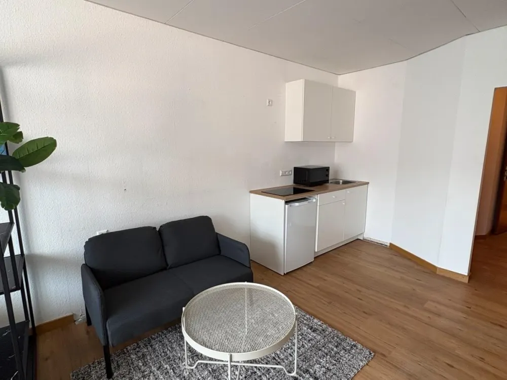 1.5 Room Apartment Fully Furnished and Equipped