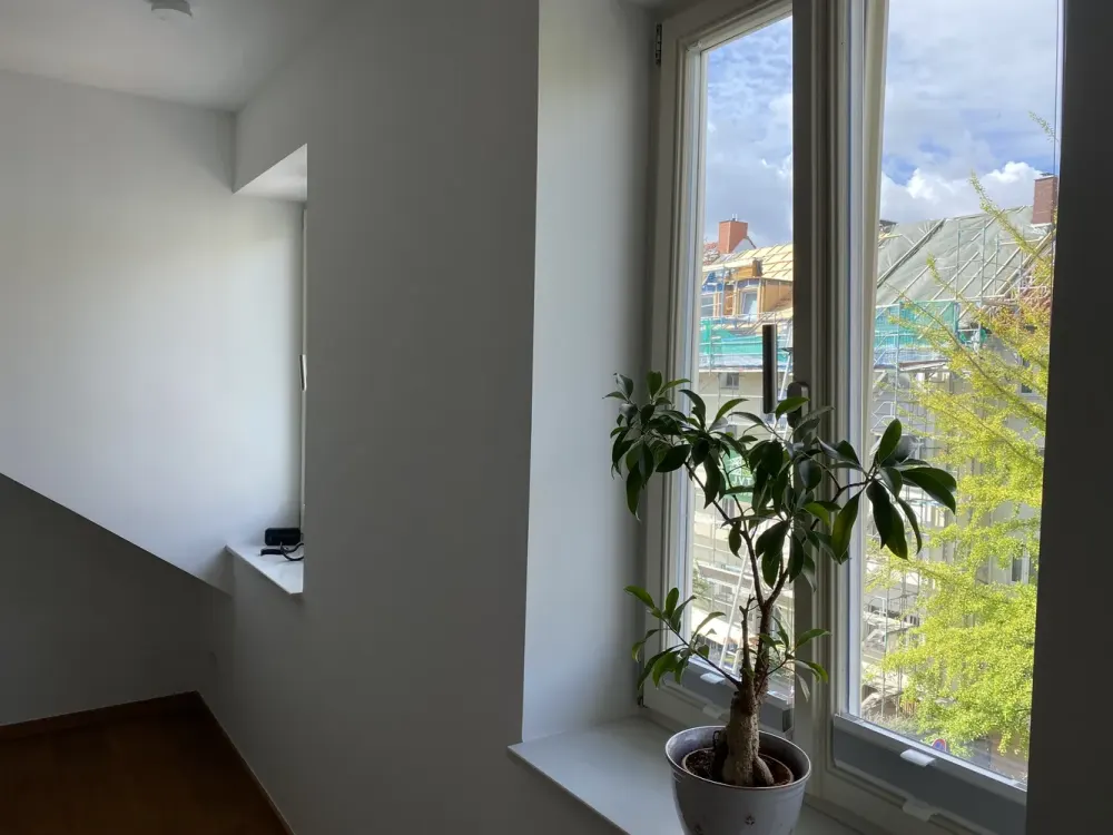 Beautiful 3-Room Apartment in Oststadt