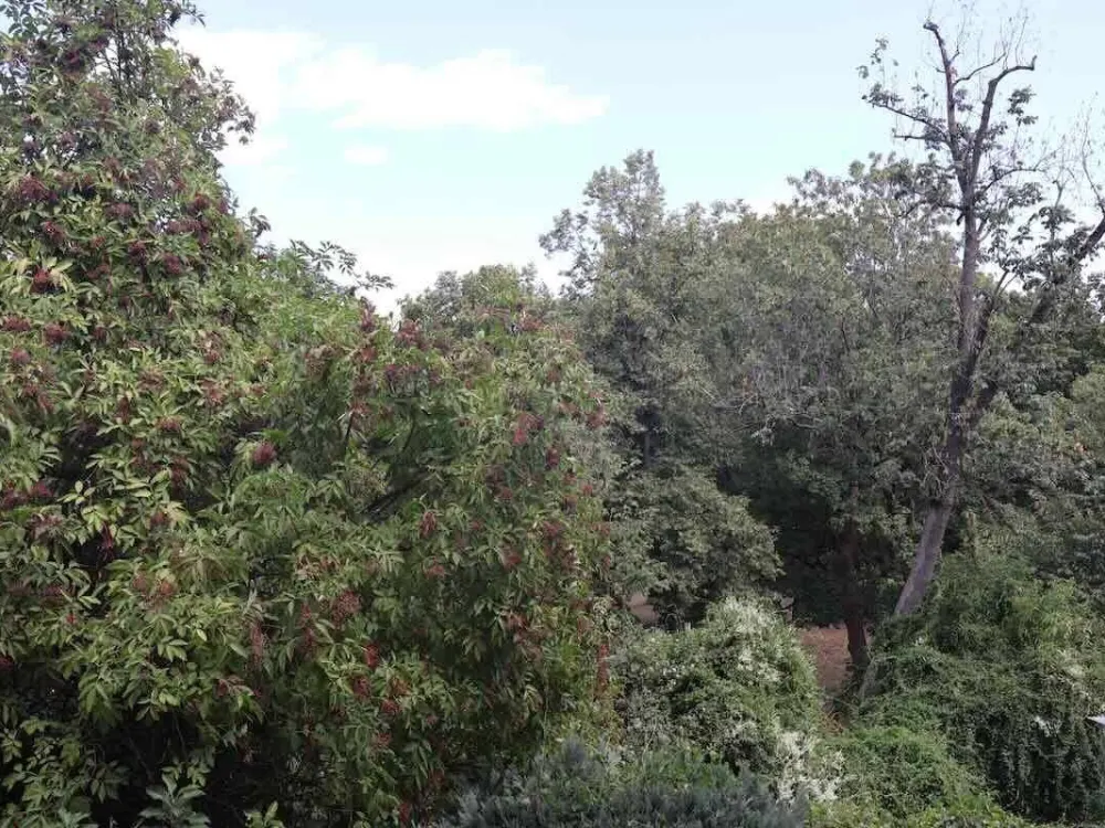 100m² Wohntraum am Rosenaupark: Balkon, Premium-Küche & TG-Stellplatz inklusive!