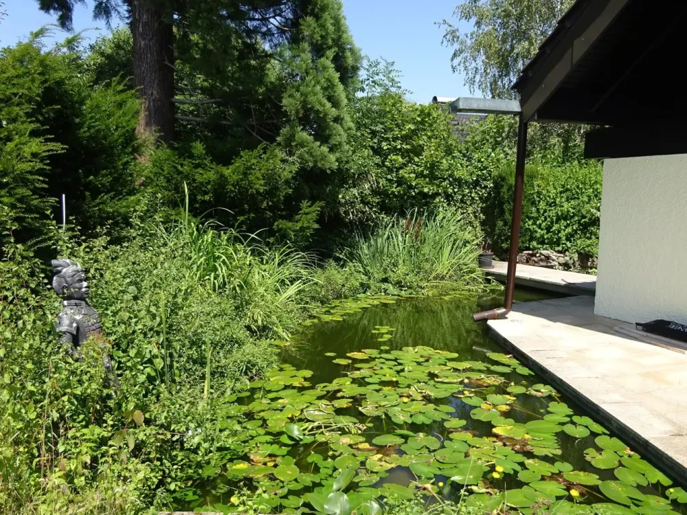 Große Maisonette mit Garten und Biotop