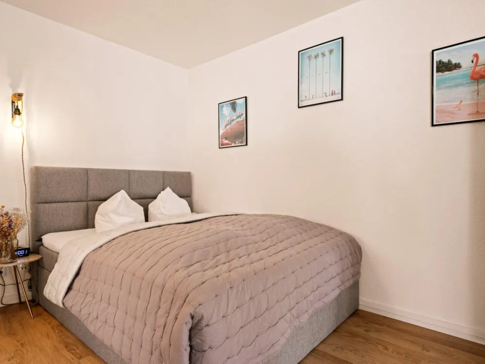 Stylish Apartment for Long-Term Rent Nov 26 - Mar 27