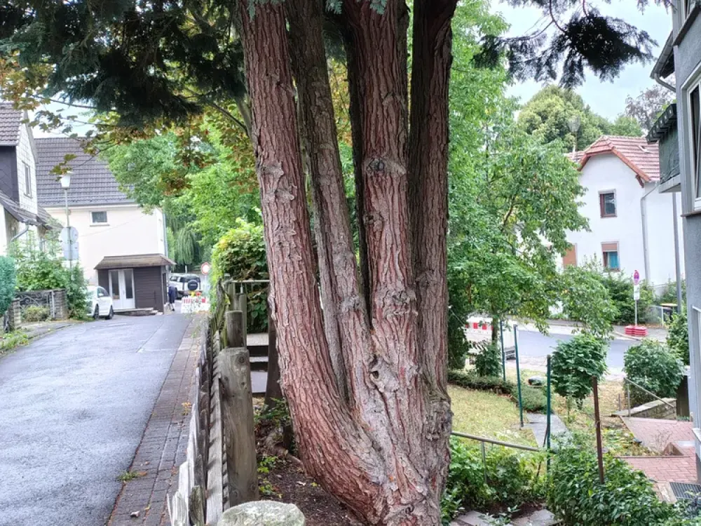 Living with Character: 3-Room Apartment in Kassel-Harleshausen