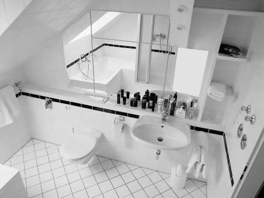 attraktive DG-Wohnung in Dresden-Striesen