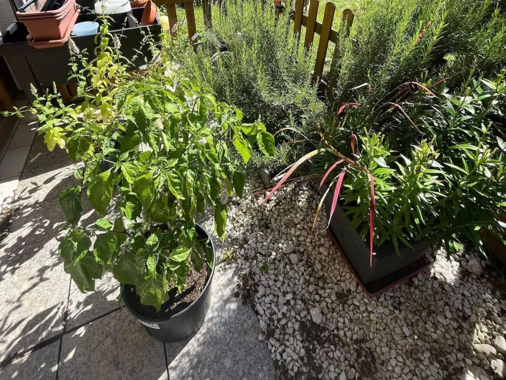 2 Zi.-Wohn(t)raum! schöne 2 -Zimmer im EG mit Südterrasse und Tiefgaragenstellplatz in Erfurt-Frienstedt