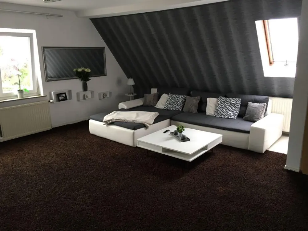 Spacious Loft Apartment for Singles
