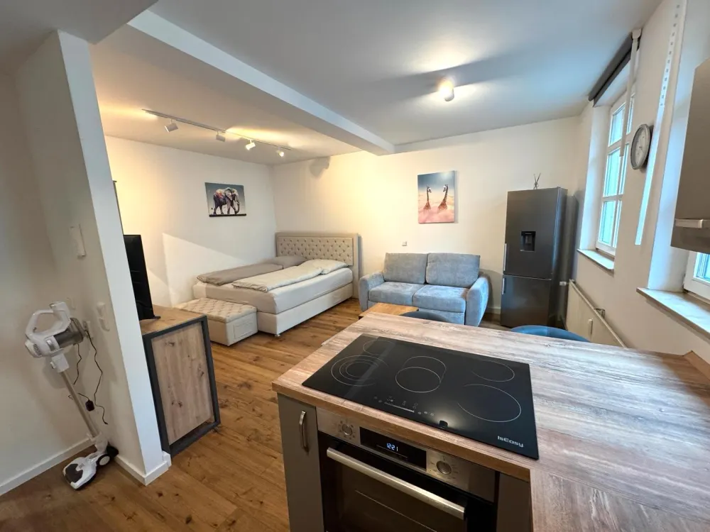 Ein Zimmer Apartment Erlanger Innenstadt, voll möbliert