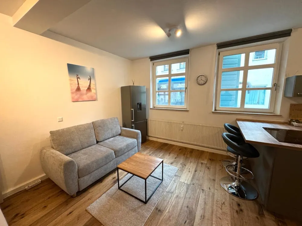 Ein Zimmer Apartment Erlanger Innenstadt, voll möbliert