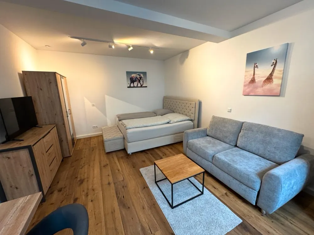 Ein Zimmer Apartment Erlanger Innenstadt, voll möbliert