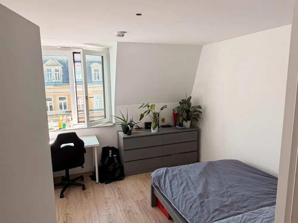 Helle 3-Zimmer-Wohnung in Dresden-Neustadt | 78qm | Einbauküche|