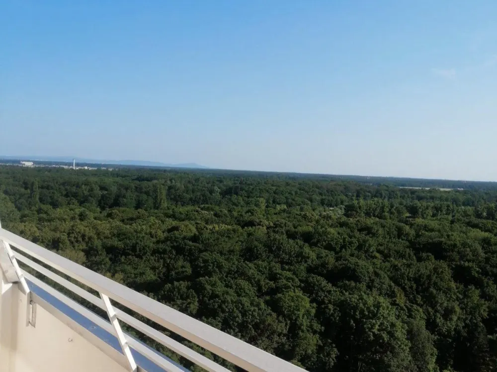 Klimatisierte 1.5-Zi.-Wohnung 39m² mit Weitblick - Hattersheim