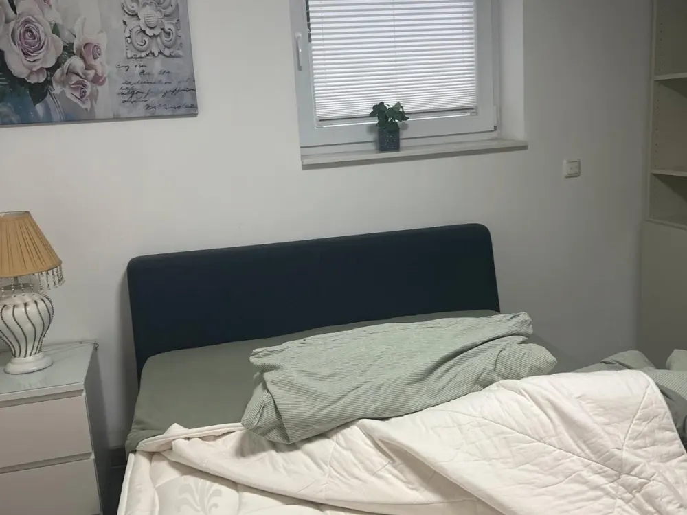 Bright Basement Apartment with 2 Rooms
