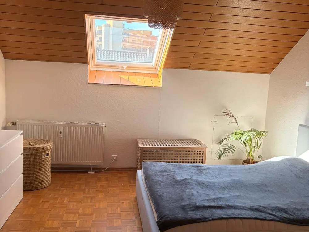 Two-Room Attic Apartment