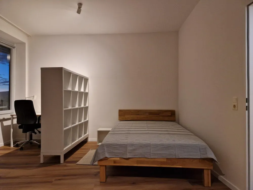 Neu renovierte, voll möblierte 1-Zi-Wohnung mit Tiefgarage
