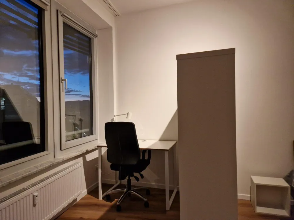 Neu renovierte, voll möblierte 1-Zi-Wohnung mit Tiefgarage