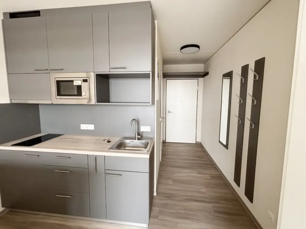 Move in & feel good: Furnished 1-room apartment in Münster for rent, Wentzel Dr.