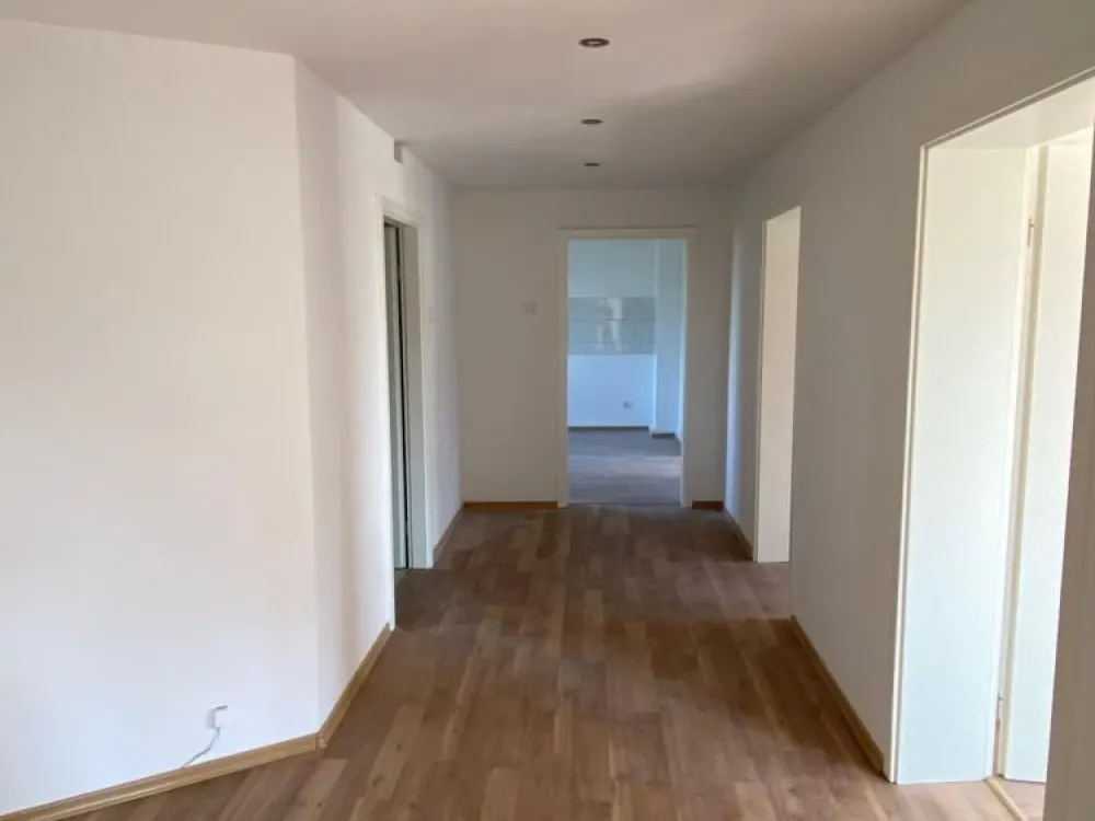 Bright Renovated 4-Room Apartment in Convenient Location