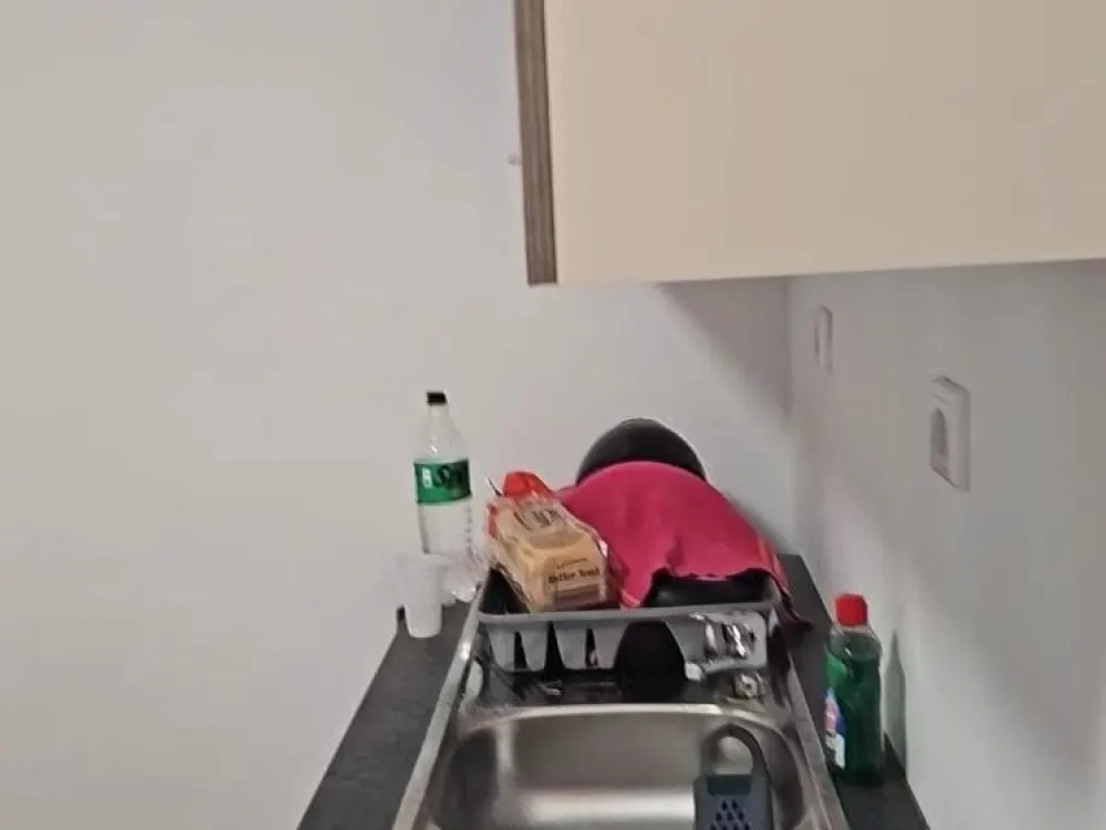 Apartment Rentals 1-Room Apartment with Built-in Kitchen