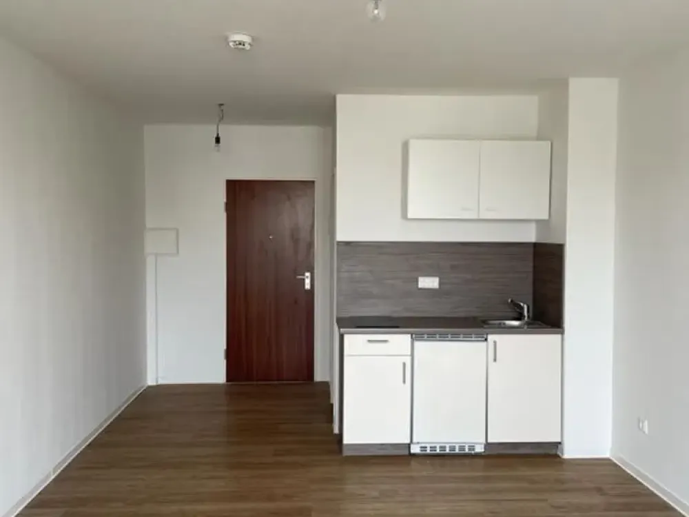 Großzügiges Single- Apartment in Köln-Zollstock