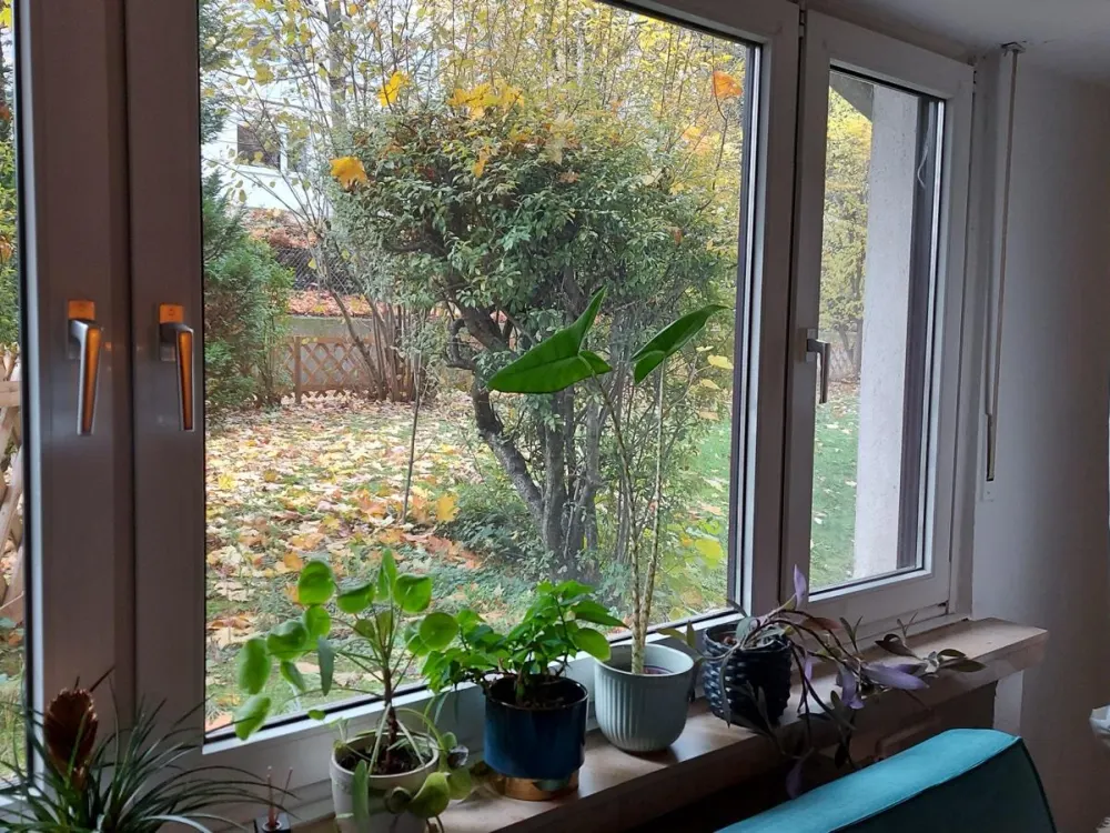 Souterrain Wohnung Bilderstöckchen