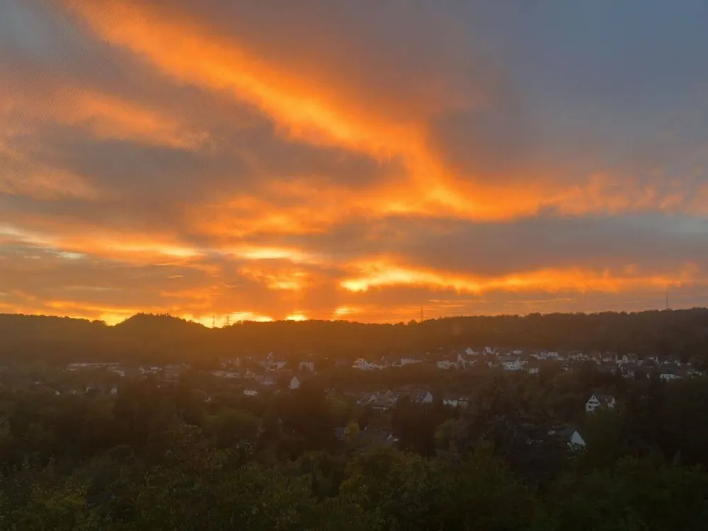 2,5 ZKB Wald- und Uninah mit Weitblick ab 1.12.