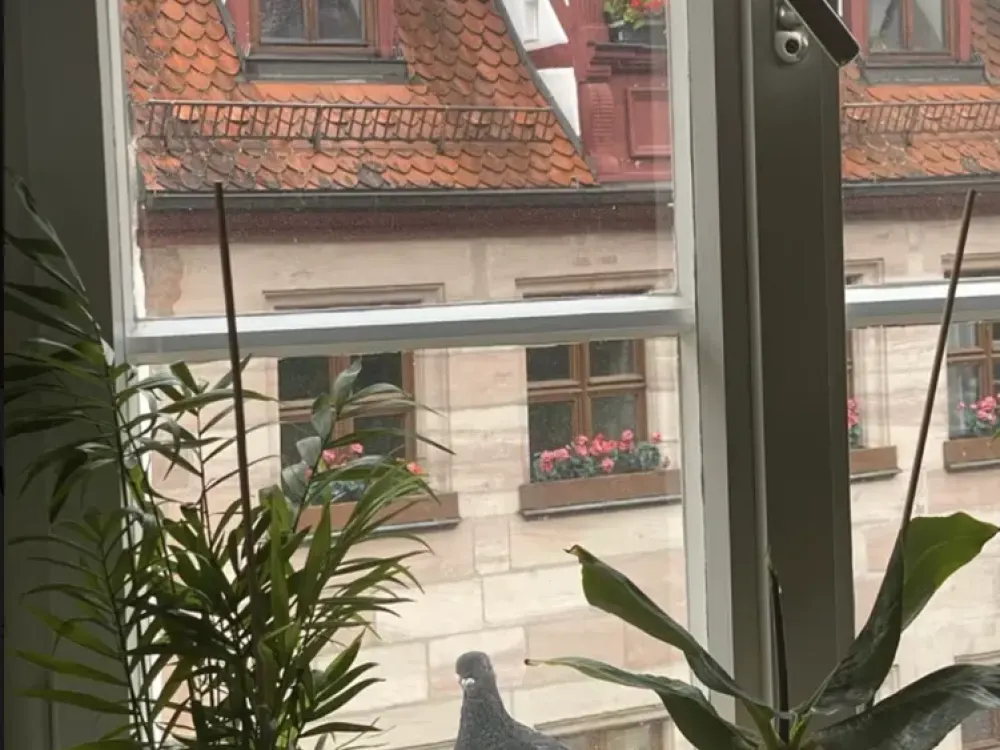 Lebendiges Stadtleben: Geräumige Wohnung in der Nürnberger Altstadt