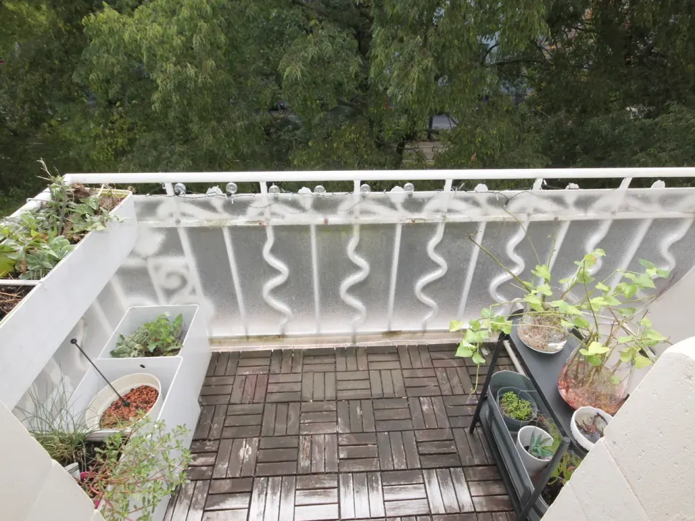 Suuupergünstig+hell+ruhig im Altbau mit Balkon+Parkett+Einbauküche nähe Berger Straße+Zoo+EZB