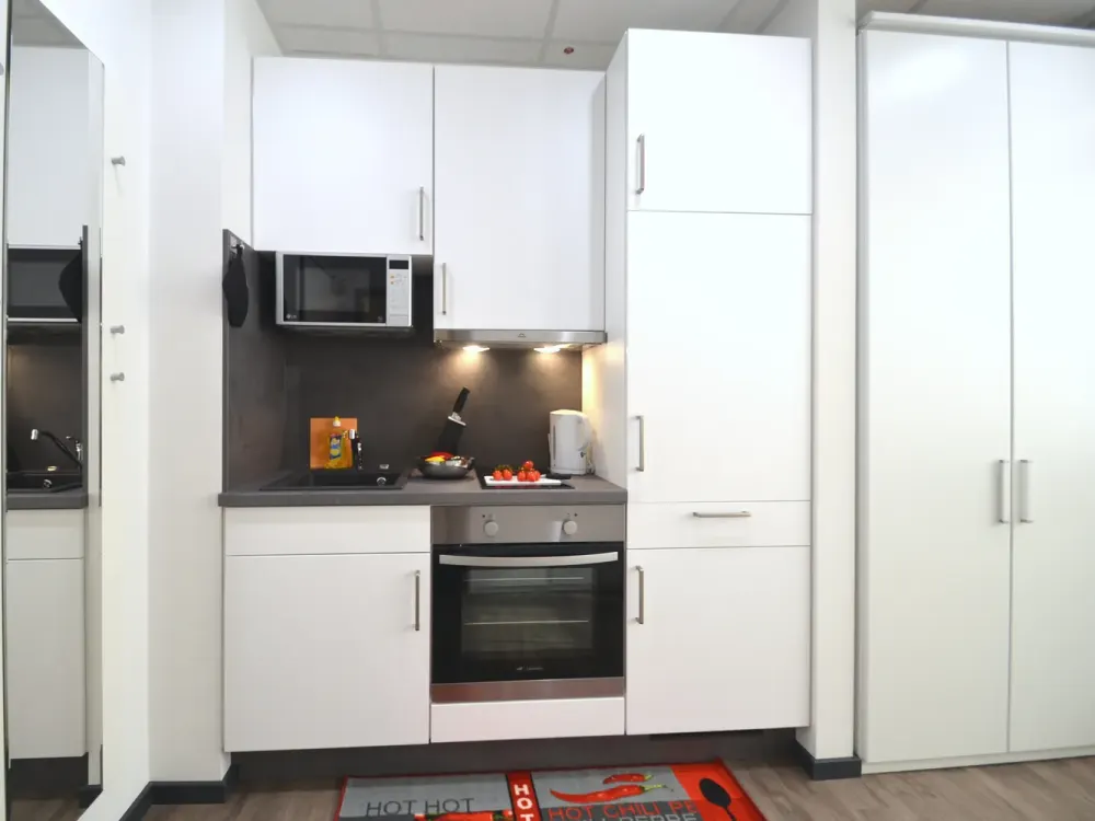 Modernes 1-Zimmer-Apartment, komplett ausgestattet, Innenstadtlage