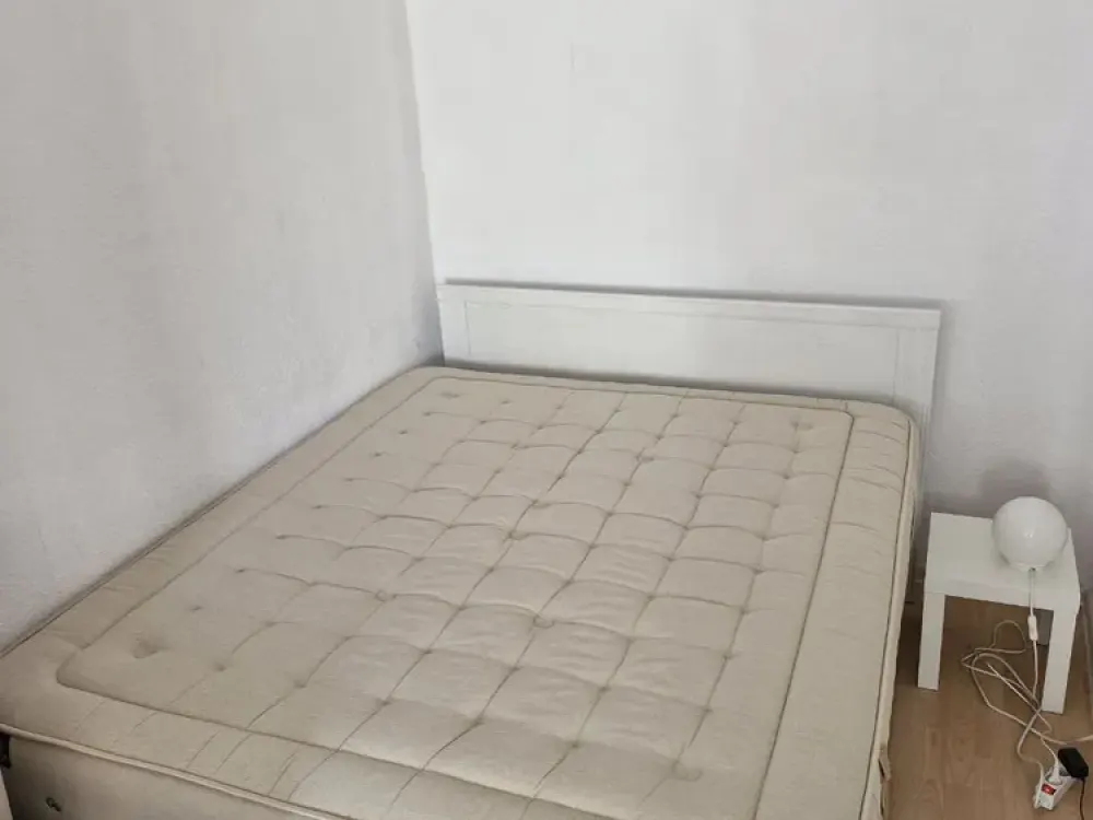 Große 1,5 Zi vollmöbliert in Mitte - kurze/ längere Zeit (Big fully furnished Apartment for Rent)