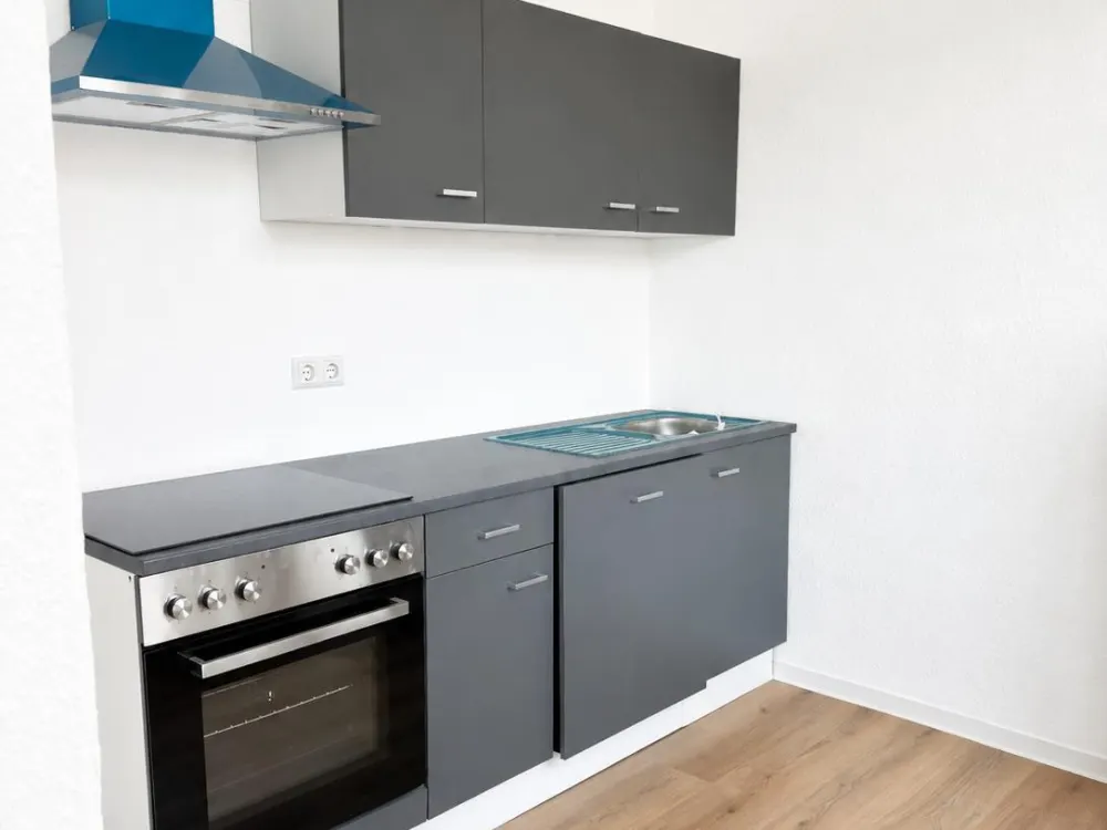 Renovated 2-Room Apartment, New Fitted Kitchen, Modern Bathroom with New Shower and Cellar in Heidenau